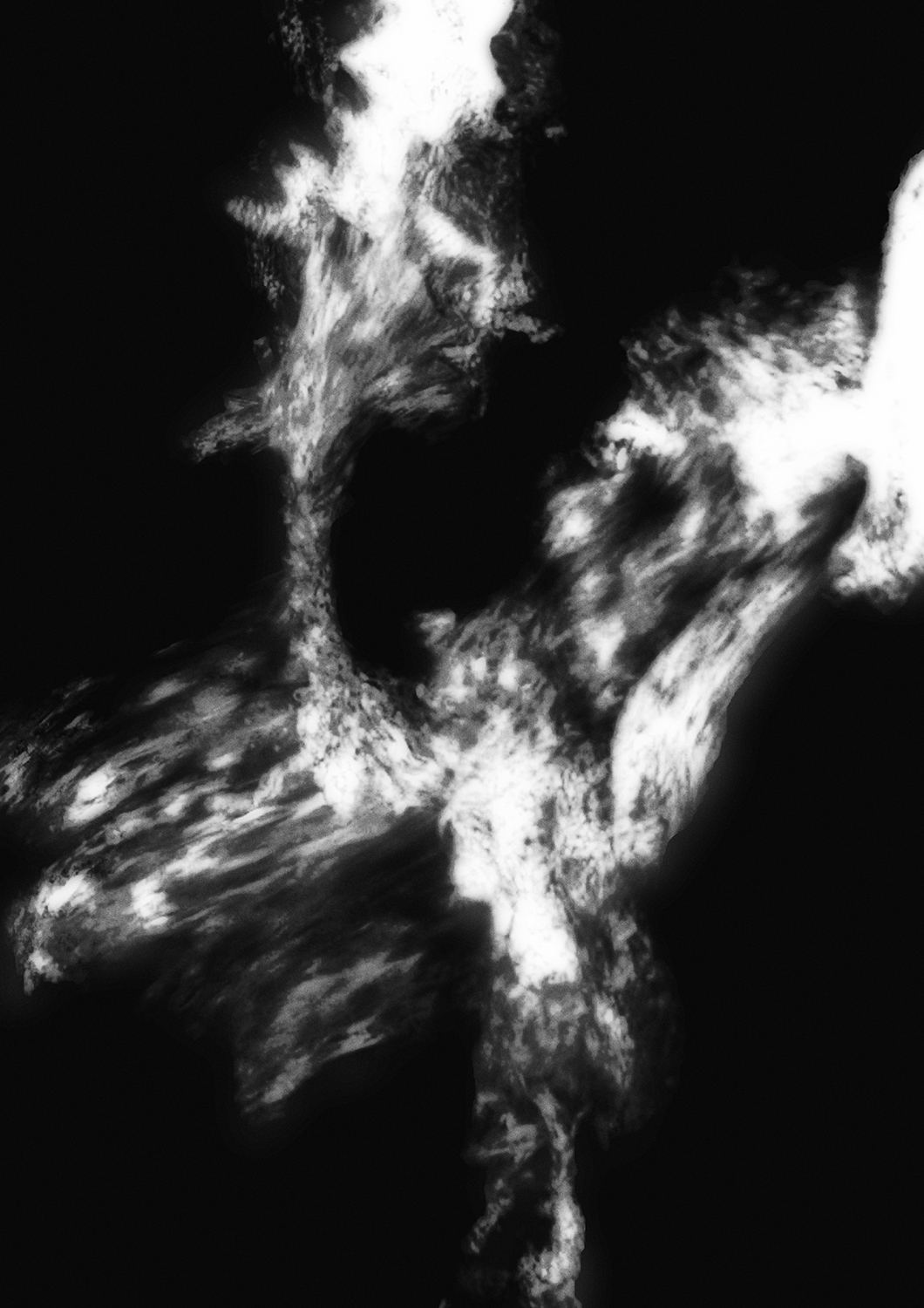 ozcar_003_1