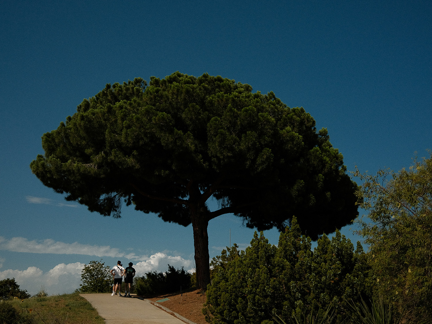 barcelonacolors_001